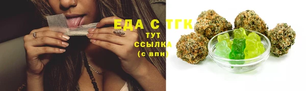 гашик Аркадак