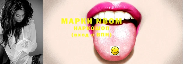 гашик Аркадак