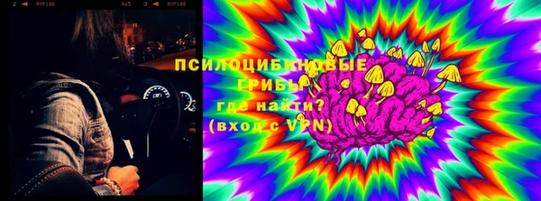 гашик Аркадак