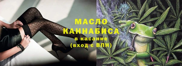 гашик Аркадак