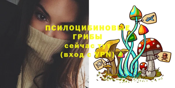 спиды Армянск